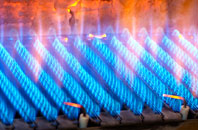 Errogie gas fired boilers